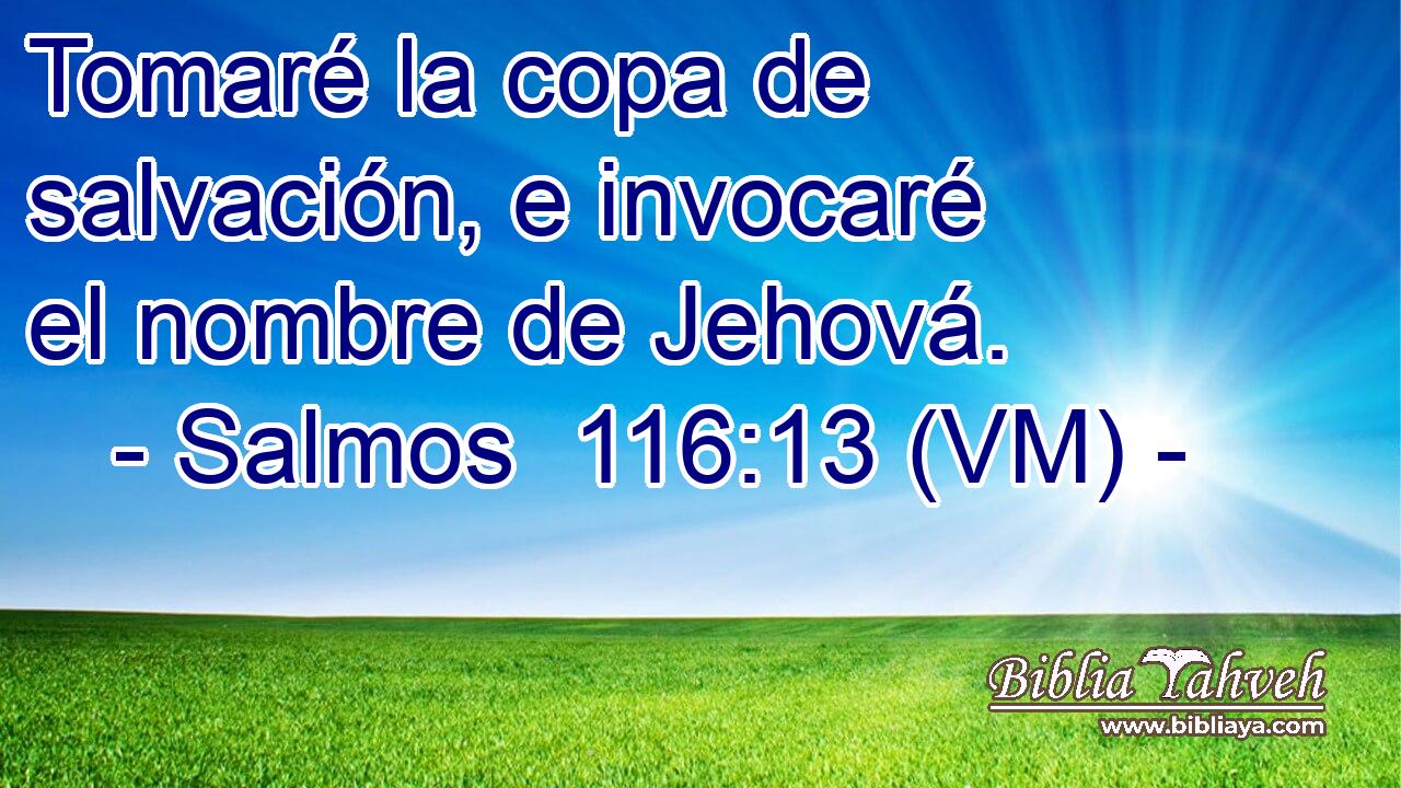  Tomaré la copa de salvación, e invocaré el nombre de Jehová. 