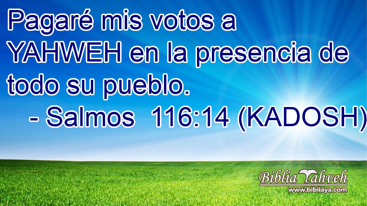  Pagaré mis votos a YAHWEH en la presencia de todo su pueblo. 