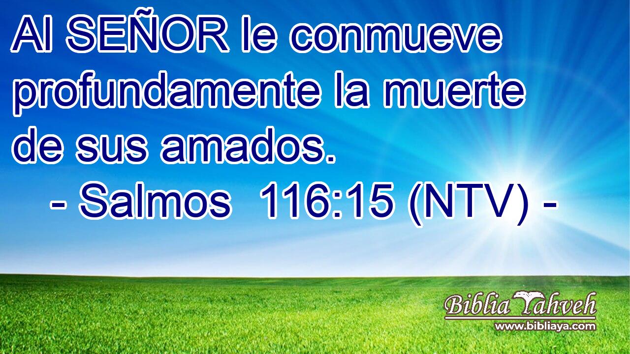 Al SEÑOR le conmueve profundamente la muerte de sus amados.