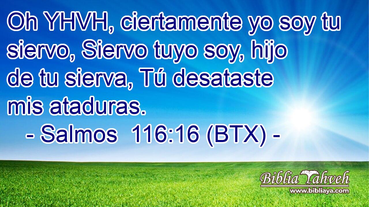 Oh YHVH, ciertamente yo soy tu siervo, Siervo tuyo soy, hijo de tu sierva, Tú desataste mis ataduras.