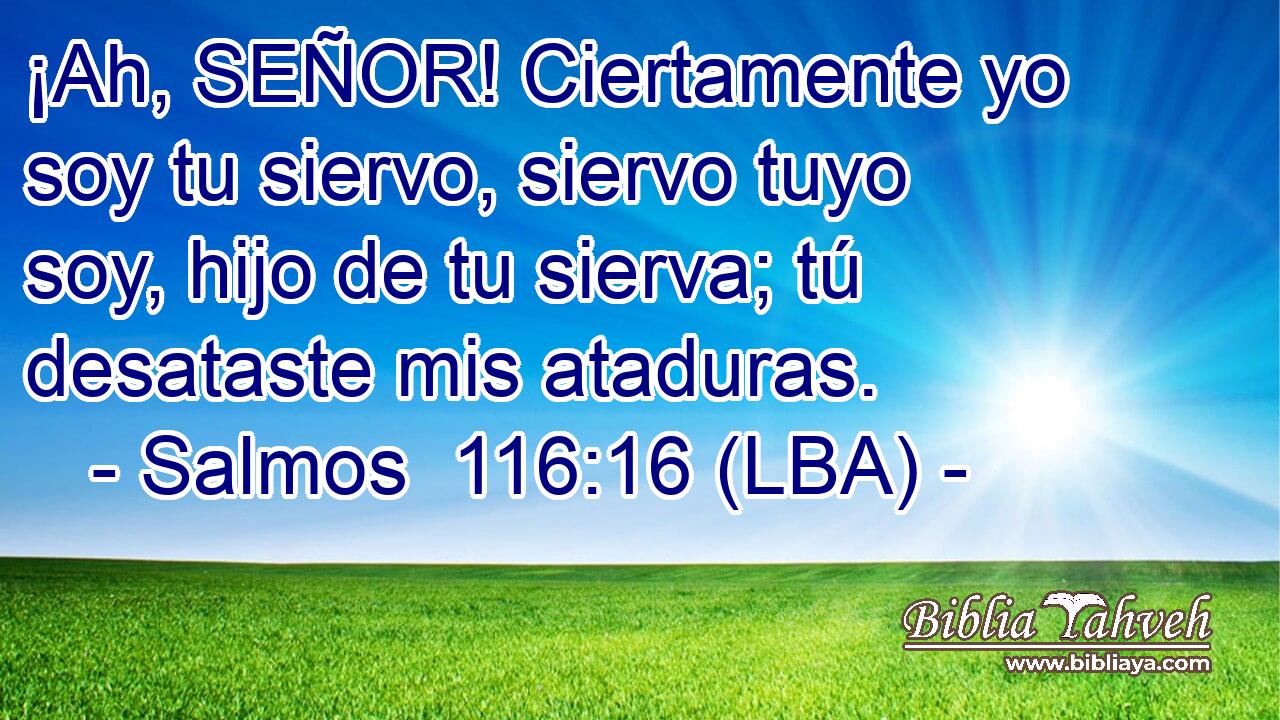¡Ah, SEÑOR! Ciertamente yo soy tu siervo, siervo tuyo soy, hijo de tu sierva; tú desataste mis ataduras.