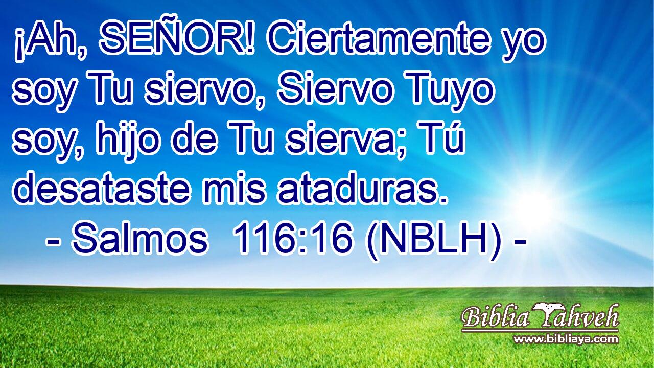  ¡Ah, SEÑOR! Ciertamente yo soy Tu siervo, Siervo Tuyo soy, hijo de Tu sierva; Tú desataste mis ataduras. 