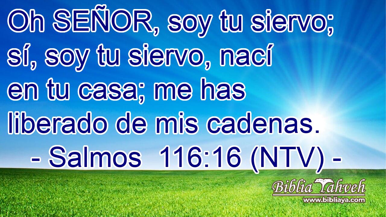 Oh SEÑOR, soy tu siervo; sí, soy tu siervo, nací en tu casa; me has liberado de mis cadenas.