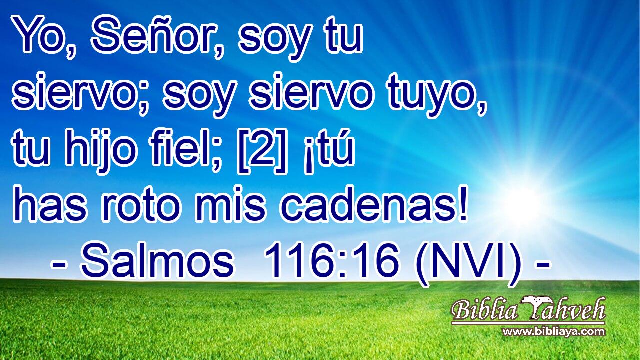  Yo, Señor, soy tu siervo; soy siervo tuyo, tu hijo fiel; [2] ¡tú has roto mis cadenas! 