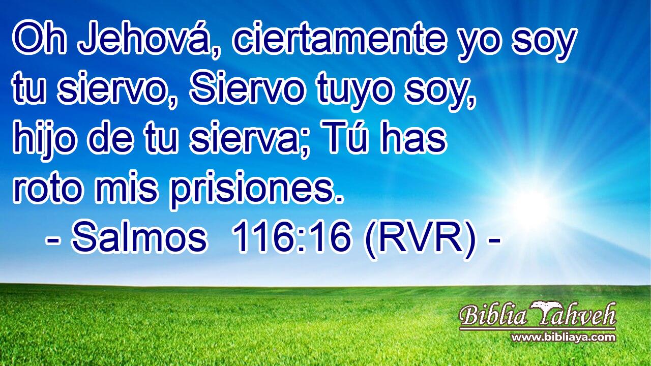 Oh Jehová, ciertamente yo soy tu siervo, Siervo tuyo soy, hijo de tu sierva; Tú has roto mis prisiones.