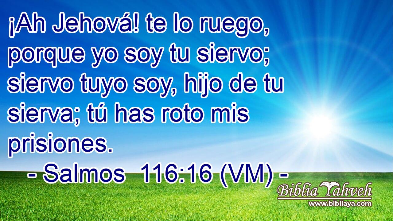 ¡Ah Jehová! te lo ruego, porque yo soy tu siervo; siervo tuyo soy, hijo de tu sierva; tú has roto mis prisiones. 