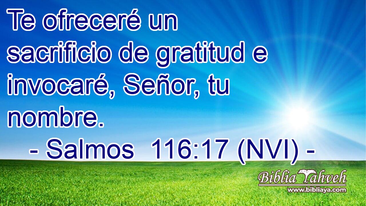  Te ofreceré un sacrificio de gratitud e invocaré, Señor, tu nombre. 