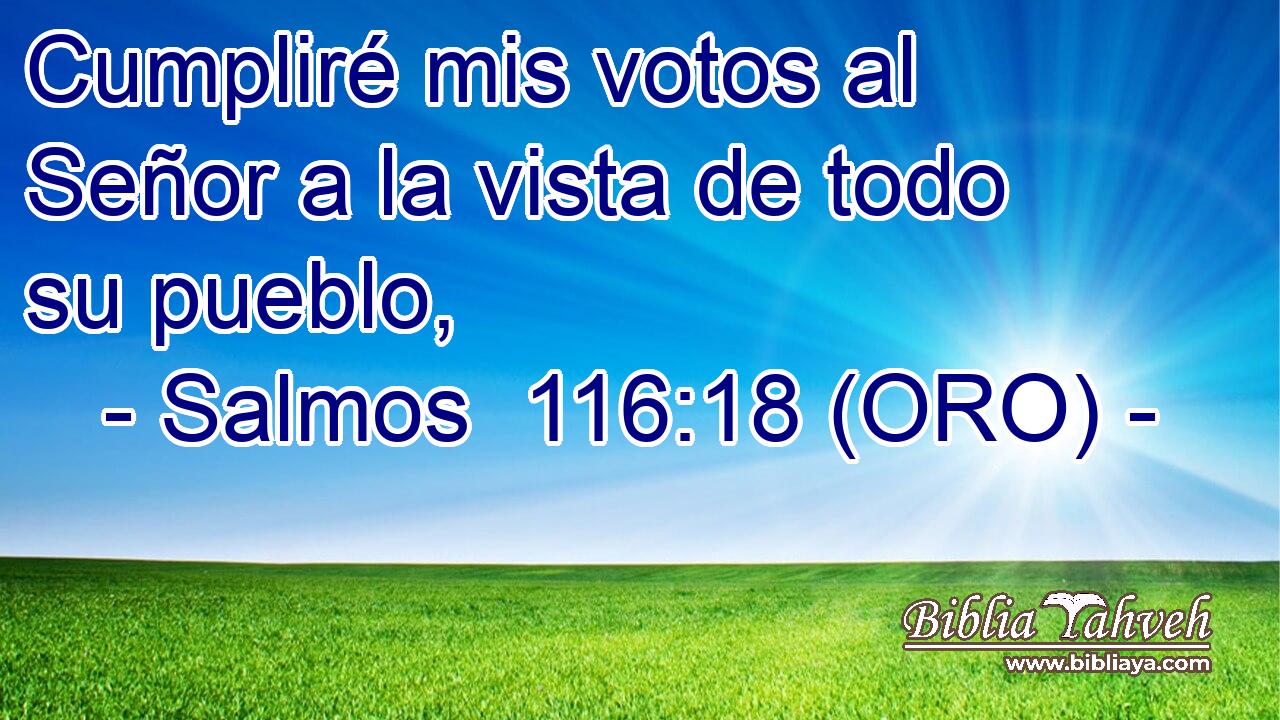  Cumpliré mis votos al Señor a la vista de todo su pueblo, 