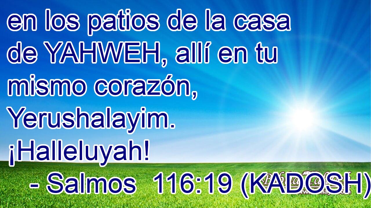  en los patios de la casa de YAHWEH, allí en tu mismo corazón, Yerushalayim. ¡Halleluyah! 