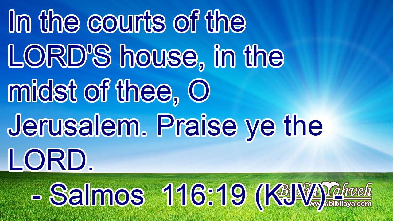 In the courts of the LORD'S house, in the midst of thee, O Jerusalem. Praise ye the LORD.