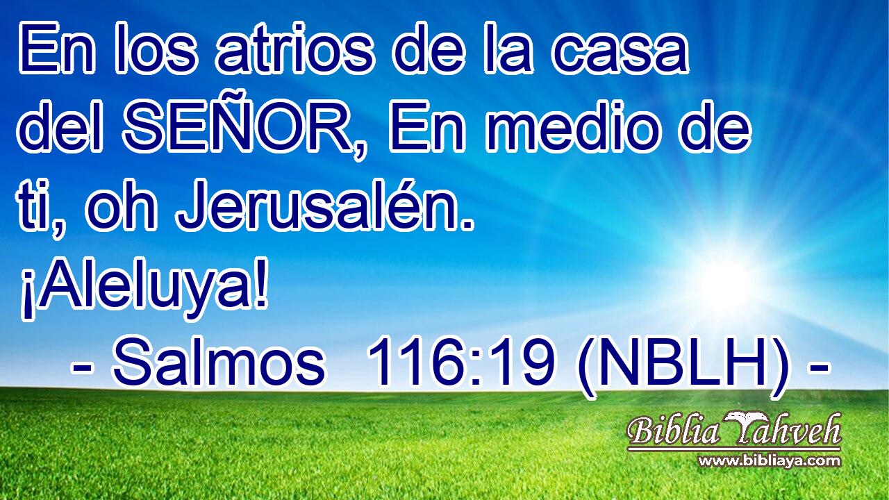  En los atrios de la casa del SEÑOR, En medio de ti, oh Jerusalén. ¡Aleluya! 