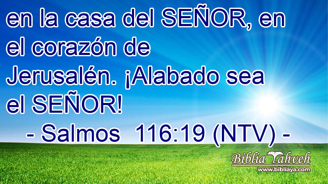 en la casa del SEÑOR, en el corazón de Jerusalén. ¡Alabado sea el SEÑOR!