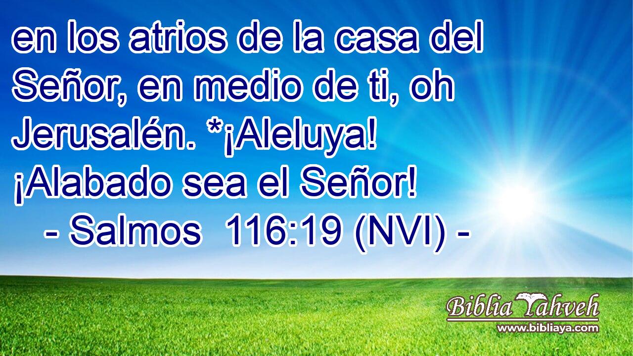  en los atrios de la casa del Señor, en medio de ti, oh Jerusalén. *¡Aleluya! ¡Alabado sea el Señor! 