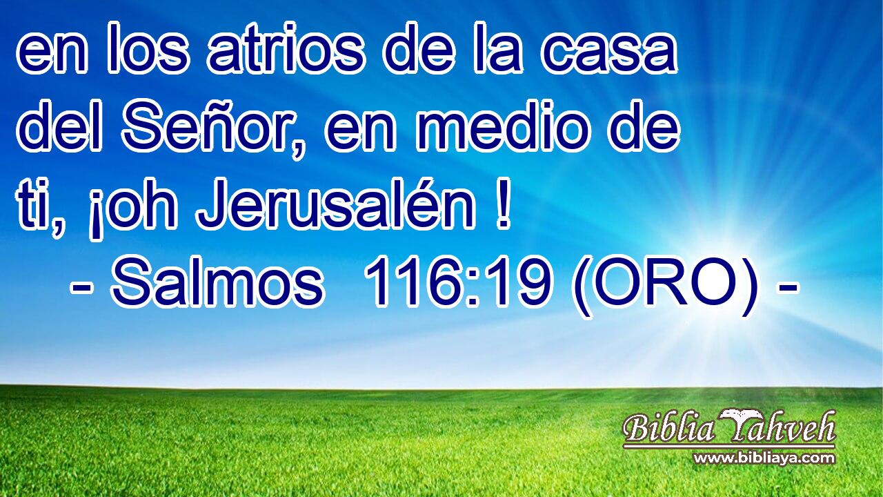  en los atrios de la casa del Señor, en medio de ti, ¡oh Jerusalén ! 