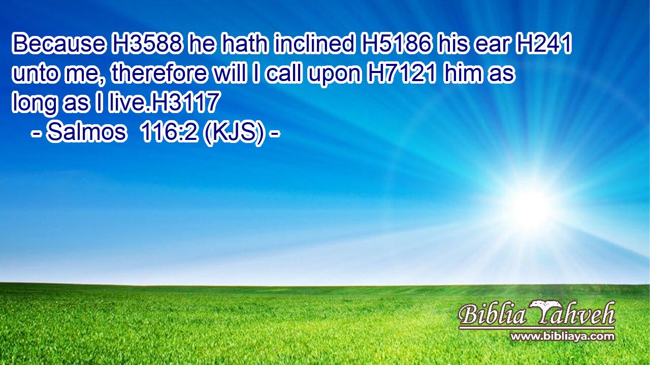 Because H3588 he hath inclined H5186 his ear H241 unto me, therefore will I call upon H7121 him as long as I live.H3117
