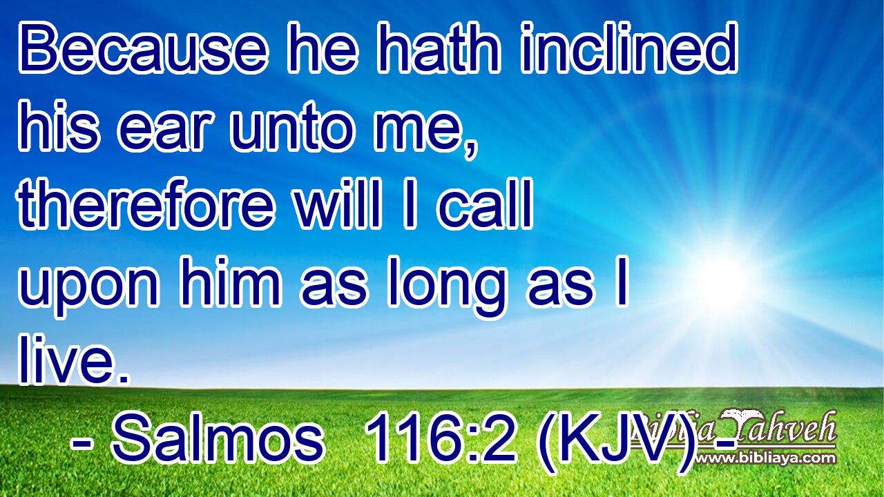 Because he hath inclined his ear unto me, therefore will I call upon him as long as I live.