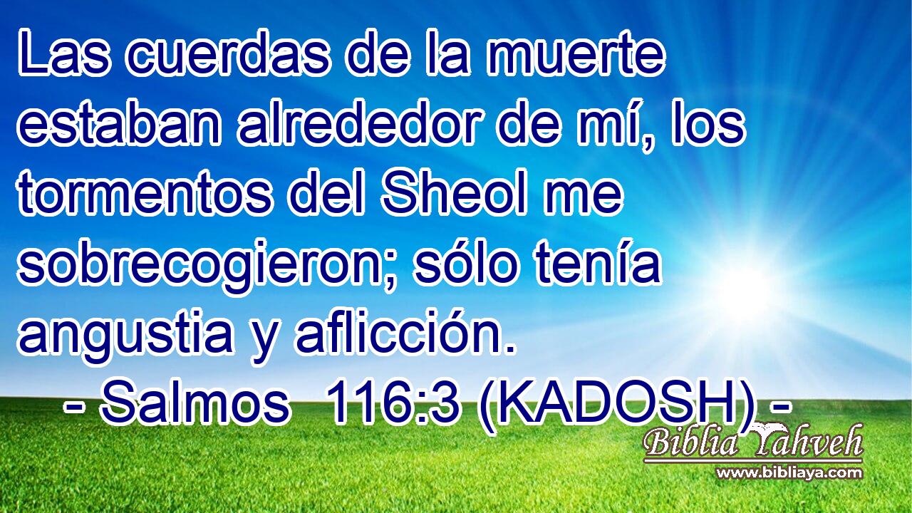  Las cuerdas de la muerte estaban alrededor de mí, los tormentos del Sheol me sobrecogieron; sólo tenía angustia y aflicción. 