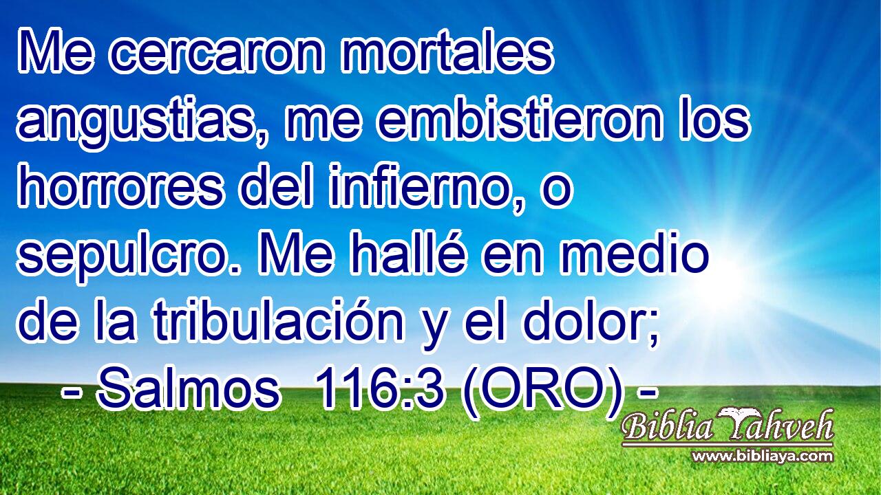  Me cercaron mortales angustias, me embistieron los horrores del infierno, o sepulcro. Me hallé en medio de la tribulación y el dolor; 