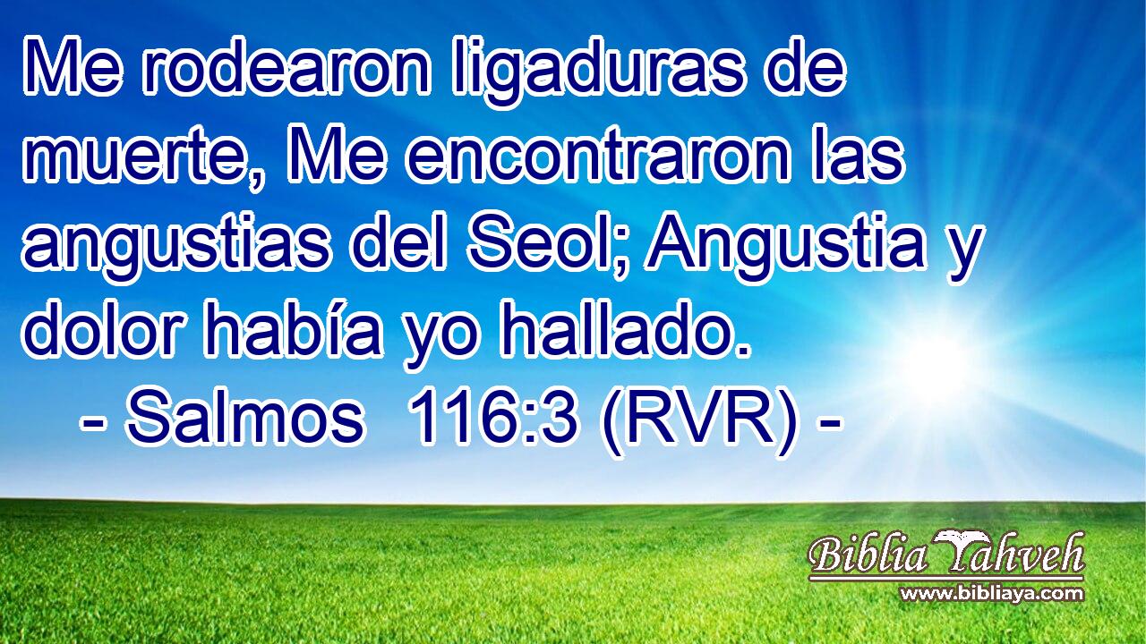 Me rodearon ligaduras de muerte, Me encontraron las angustias del Seol; Angustia y dolor había yo hallado.
