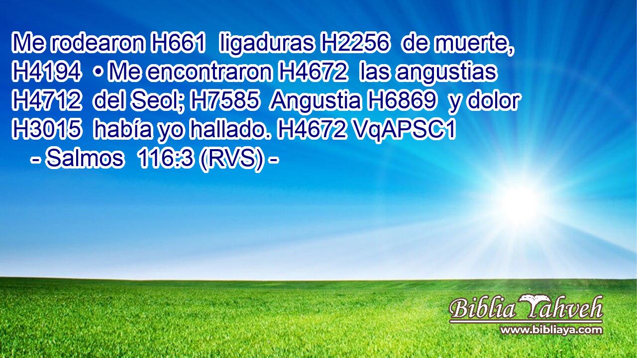 Me rodearon H661  ligaduras H2256  de muerte, H4194  • Me encontraron H4672  las angustias H4712  del Seol; H7585  Angustia H6869  y dolor H3015  había yo hallado. H4672 VqAPSC1 