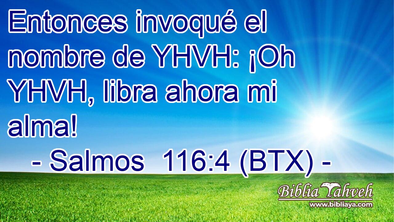 Entonces invoqué el nombre de YHVH: ¡Oh YHVH, libra ahora mi alma!