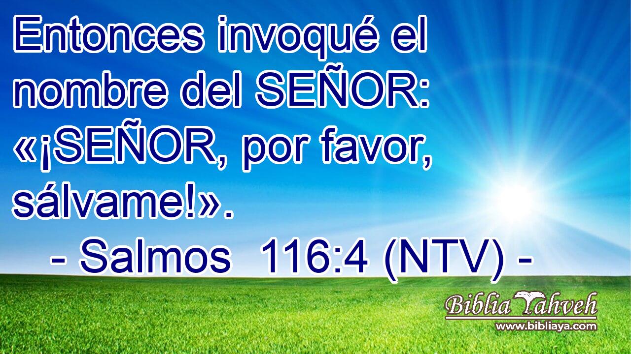 Entonces invoqué el nombre del SEÑOR: «¡SEÑOR, por favor, sálvame!».