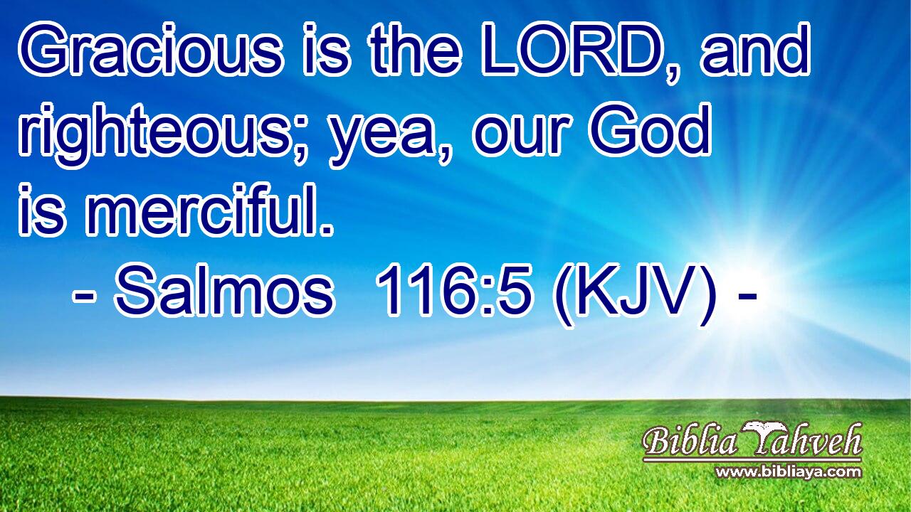 Gracious is the LORD, and righteous; yea, our God is merciful.
