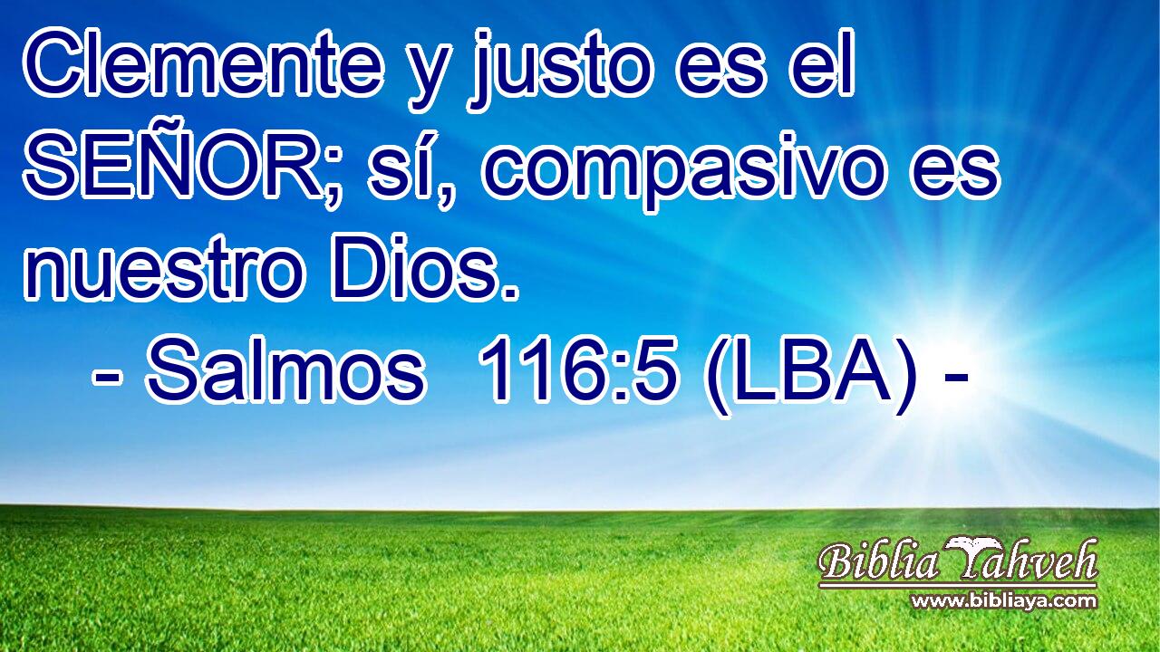 Clemente y justo es el SEÑOR; sí, compasivo es nuestro Dios.