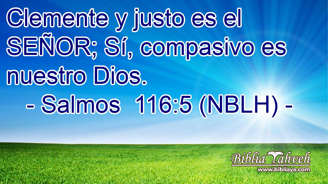  Clemente y justo es el SEÑOR; Sí, compasivo es nuestro Dios. 