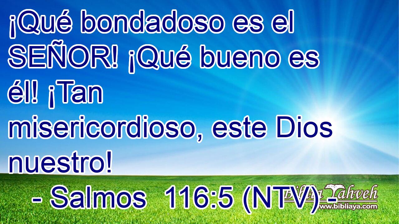 ¡Qué bondadoso es el SEÑOR! ¡Qué bueno es él! ¡Tan misericordioso, este Dios nuestro!