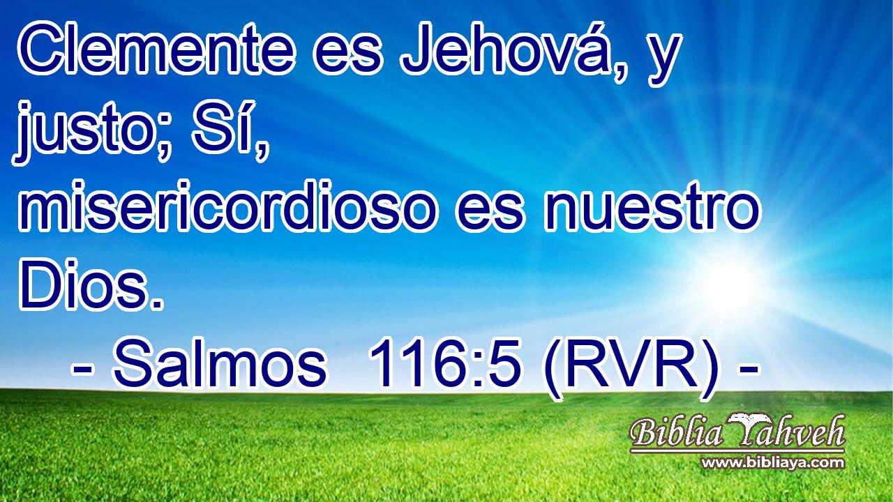 Clemente es Jehová, y justo; Sí, misericordioso es nuestro Dios.