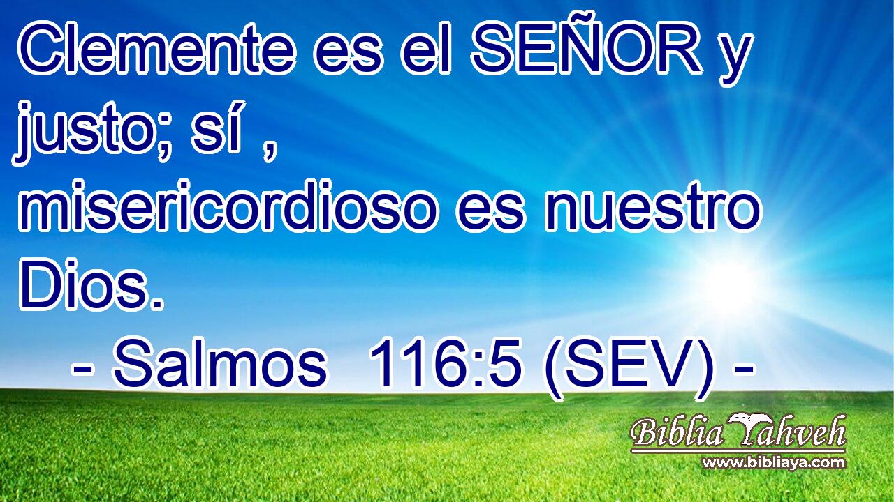 Clemente es el SEÑOR y justo; sí , misericordioso es nuestro Dios.