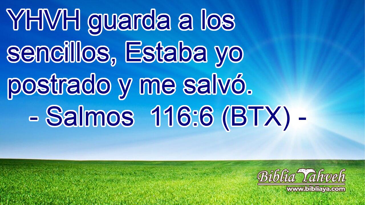 YHVH guarda a los sencillos, Estaba yo postrado y me salvó.