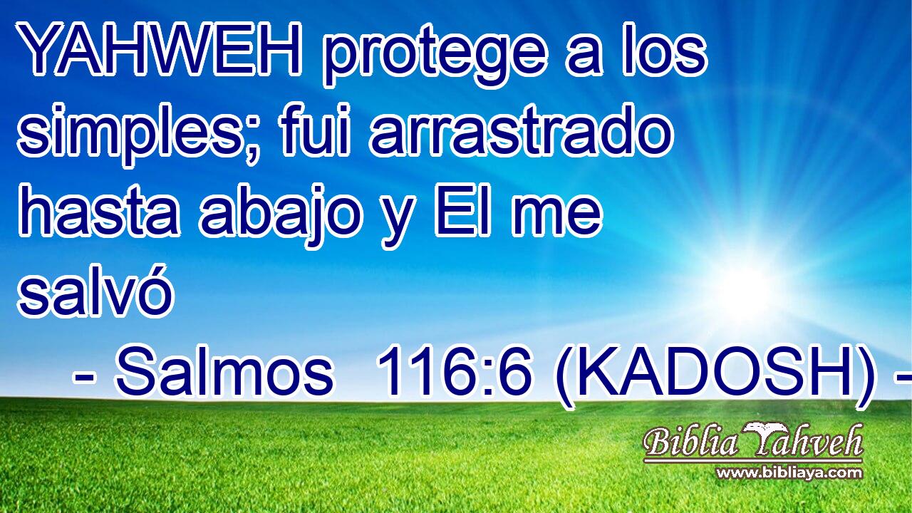  YAHWEH protege a los simples; fui arrastrado hasta abajo y El me salvó 