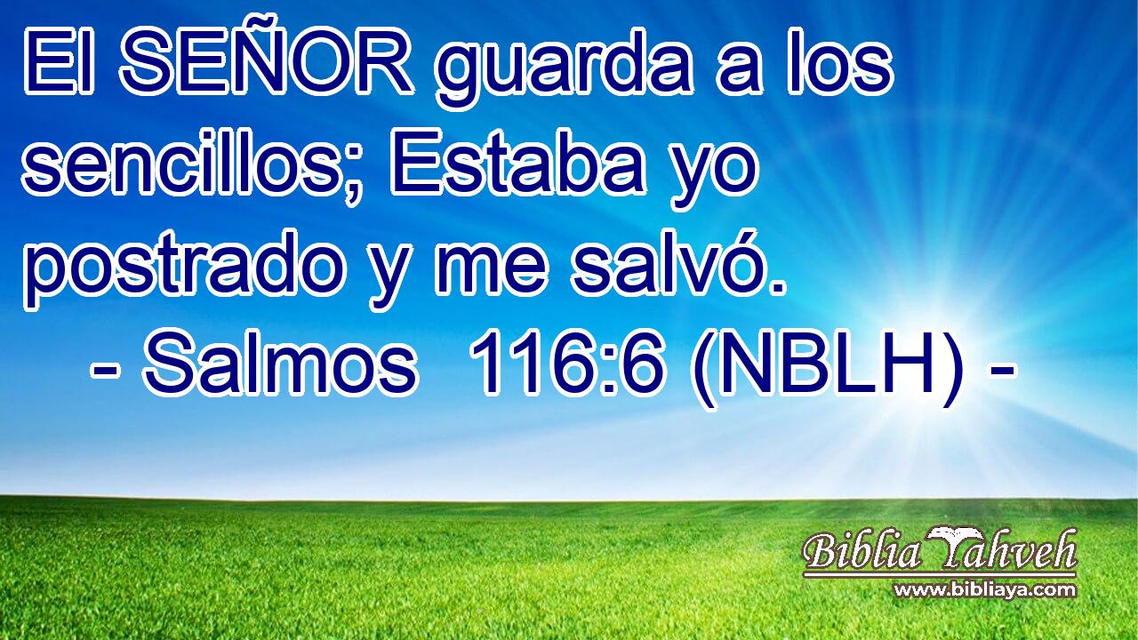  El SEÑOR guarda a los sencillos; Estaba yo postrado y me salvó. 