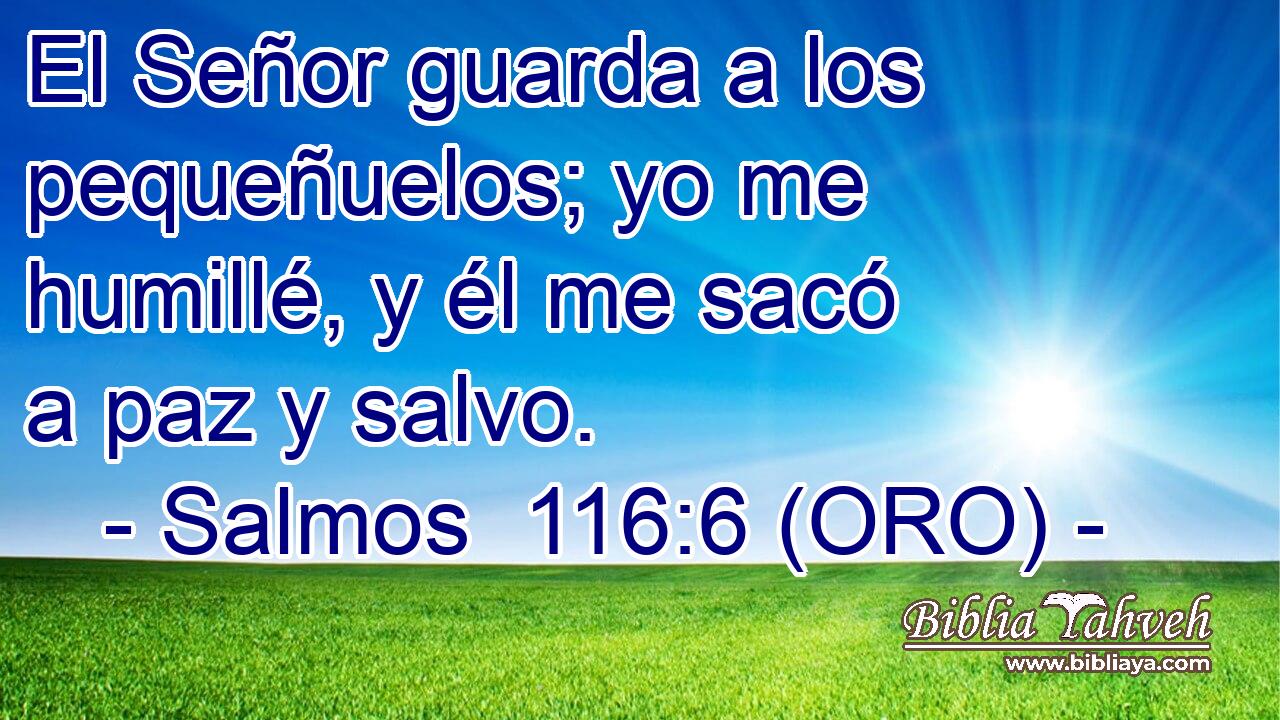  El Señor guarda a los pequeñuelos; yo me humillé, y él me sacó a paz y salvo. 