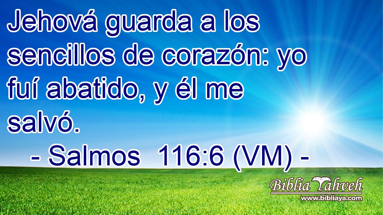  Jehová guarda a los sencillos de corazón: yo fuí abatido, y él me salvó. 