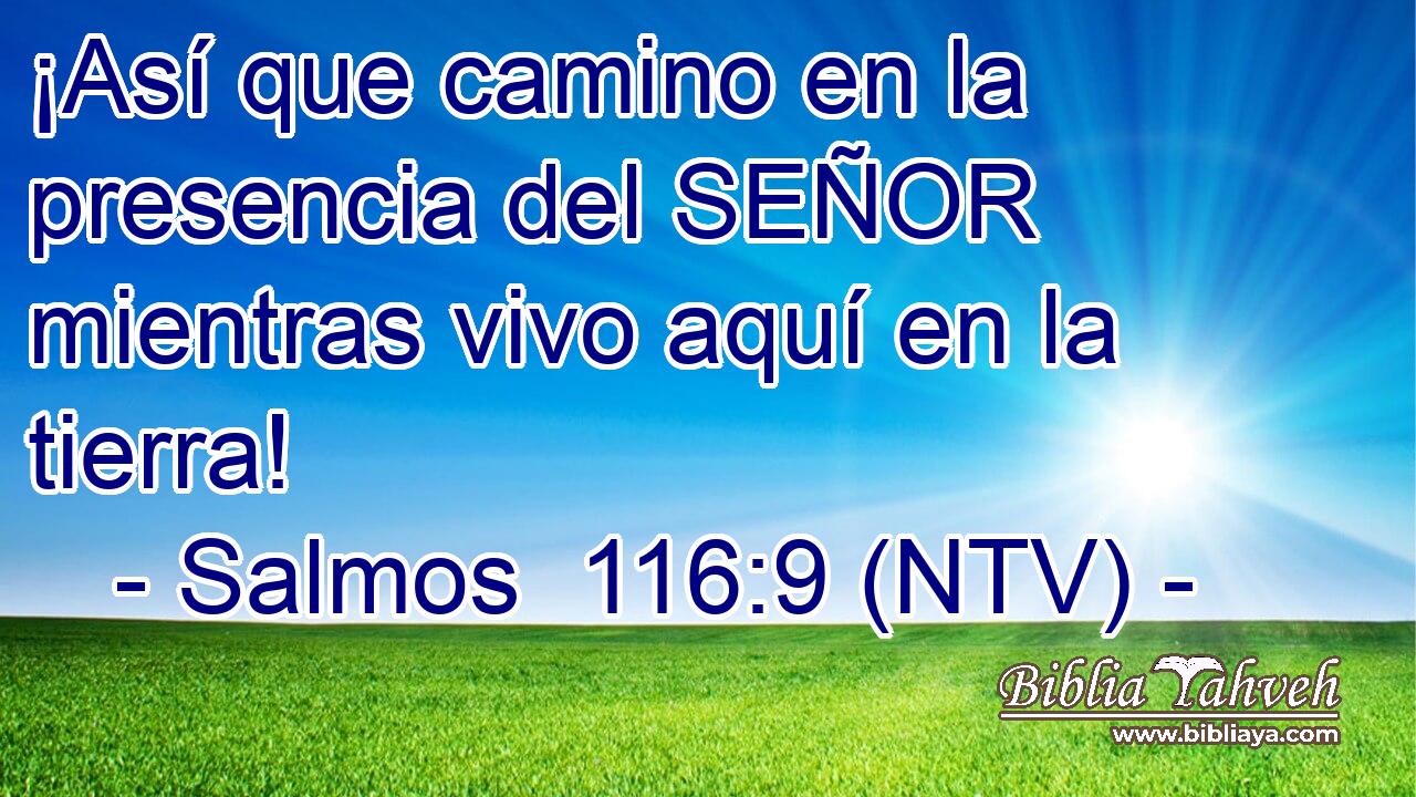 ¡Así que camino en la presencia del SEÑOR mientras vivo aquí en la tierra!