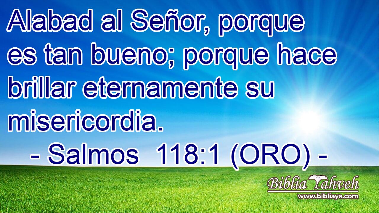  Alabad al Señor, porque es tan bueno; porque hace brillar eternamente su misericordia. 