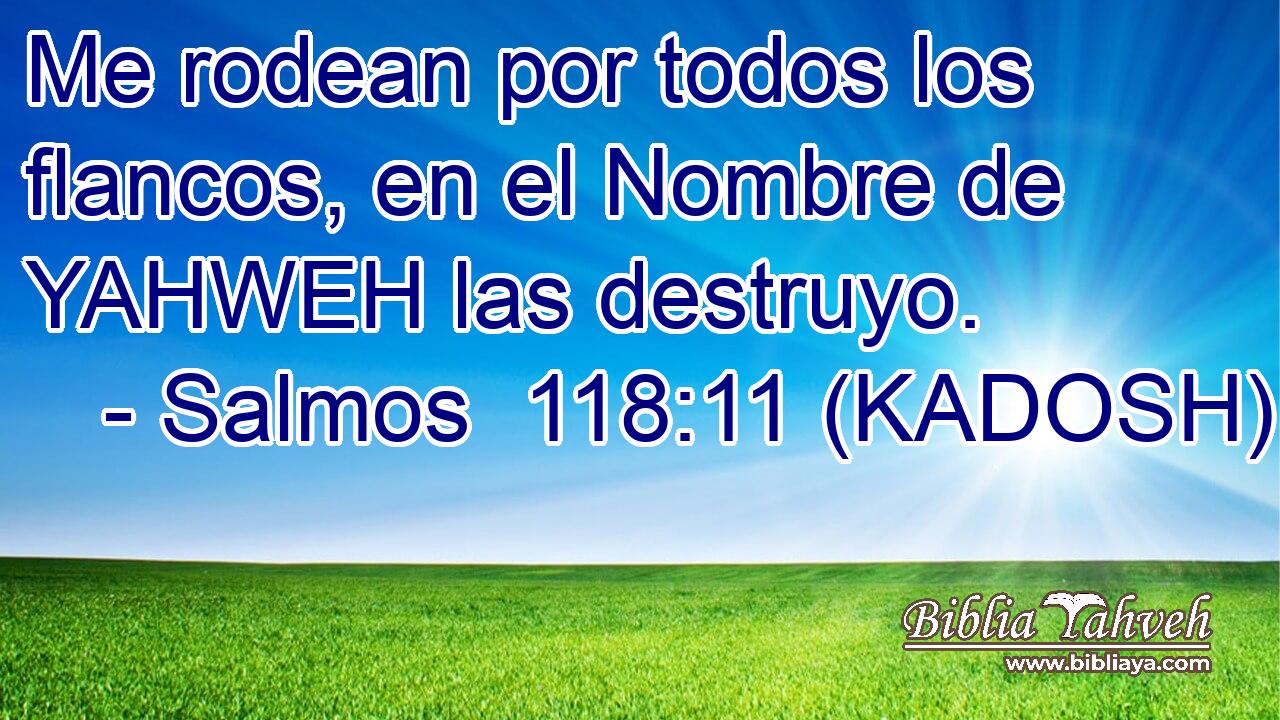  Me rodean por todos los flancos, en el Nombre de YAHWEH las destruyo. 