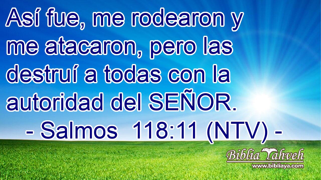 Así fue, me rodearon y me atacaron, pero las destruí a todas con la autoridad del SEÑOR.