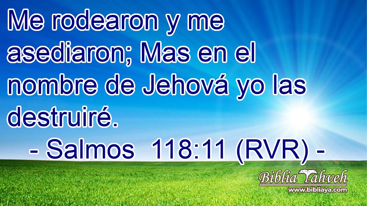 Me rodearon y me asediaron; Mas en el nombre de Jehová yo las destruiré.