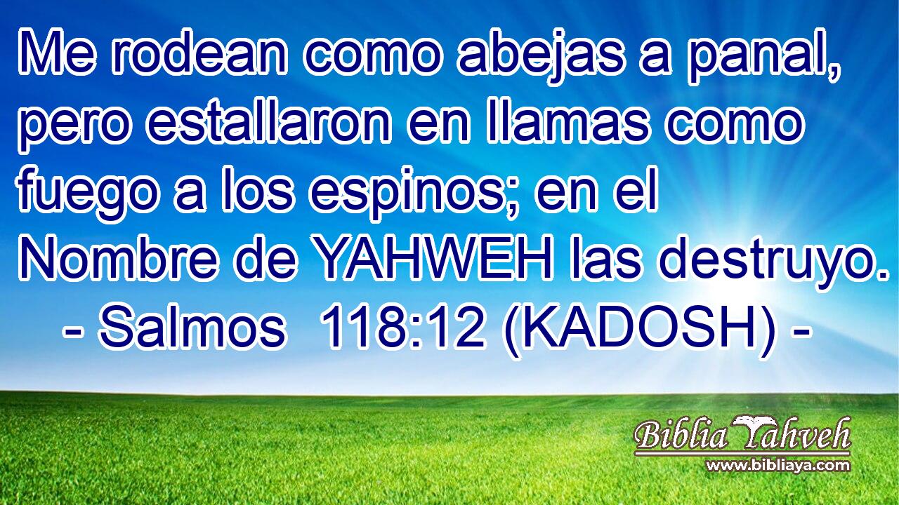  Me rodean como abejas a panal, pero estallaron en llamas como fuego a los espinos; en el Nombre de YAHWEH las destruyo. 