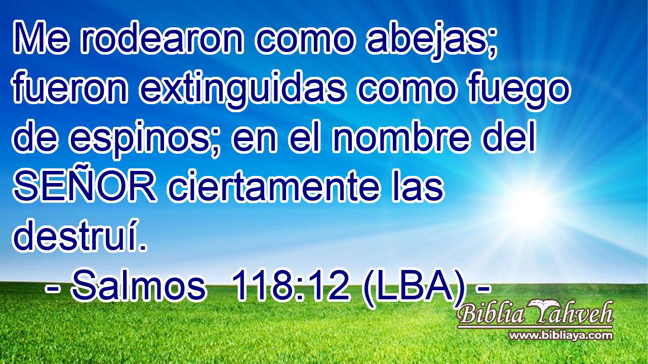 Me rodearon como abejas; fueron extinguidas como fuego de espinos; en el nombre del SEÑOR ciertamente las destruí.