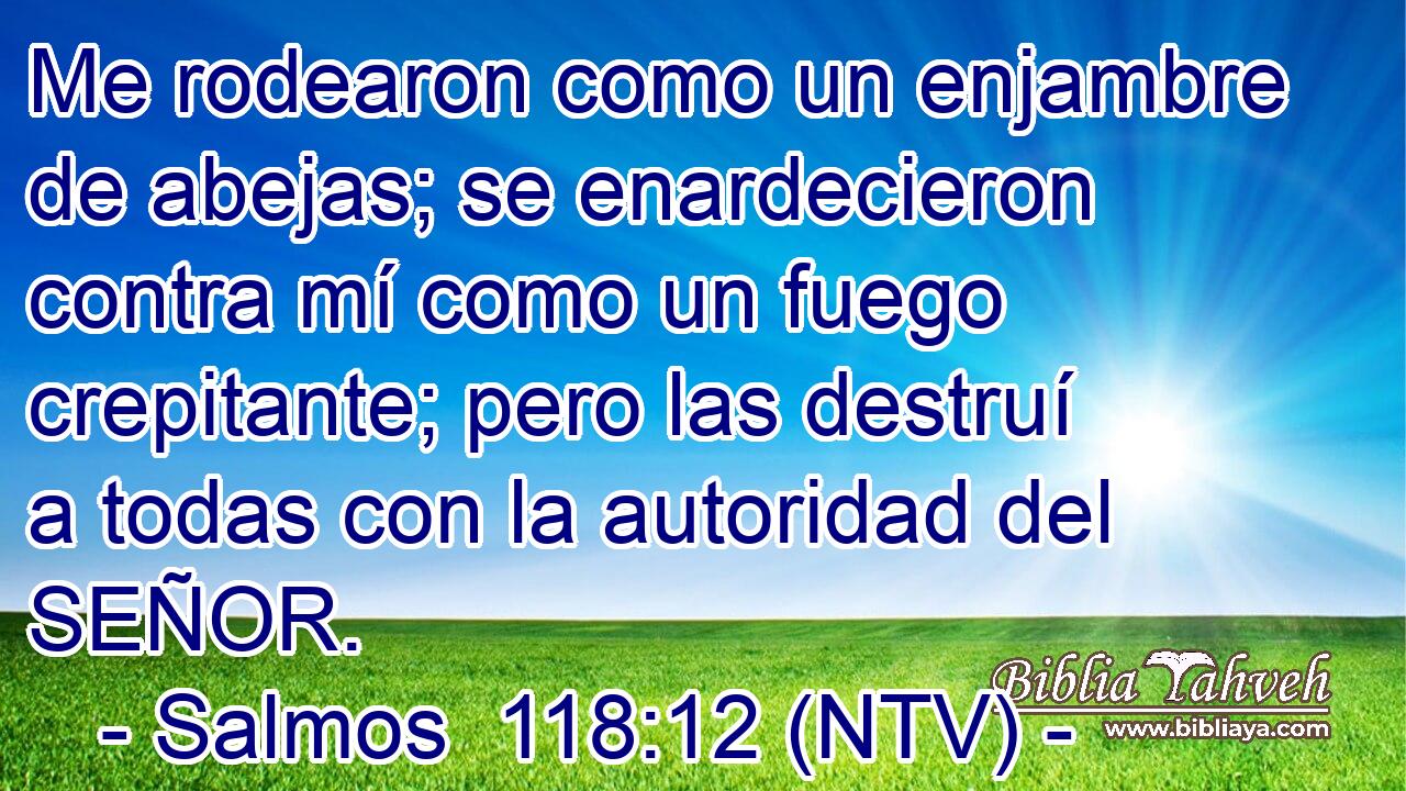 Me rodearon como un enjambre de abejas; se enardecieron contra mí como un fuego crepitante; pero las destruí a todas con la autoridad del SEÑOR.