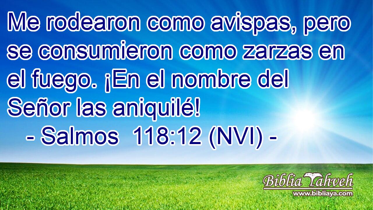  Me rodearon como avispas, pero se consumieron como zarzas en el fuego. ¡En el nombre del Señor las aniquilé! 