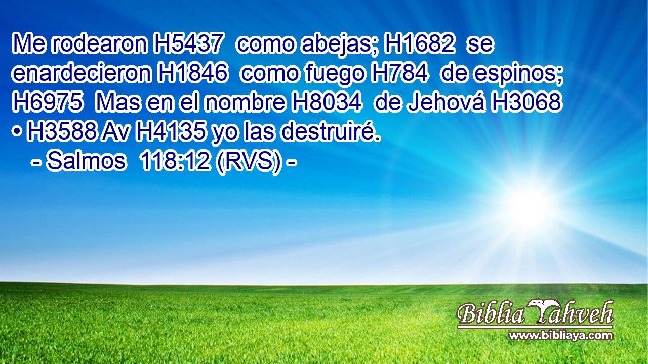 Me rodearon H5437  como abejas; H1682  se enardecieron H1846  como fuego H784  de espinos; H6975  Mas en el nombre H8034  de Jehová H3068  • H3588 Av H4135 yo las destruiré. 