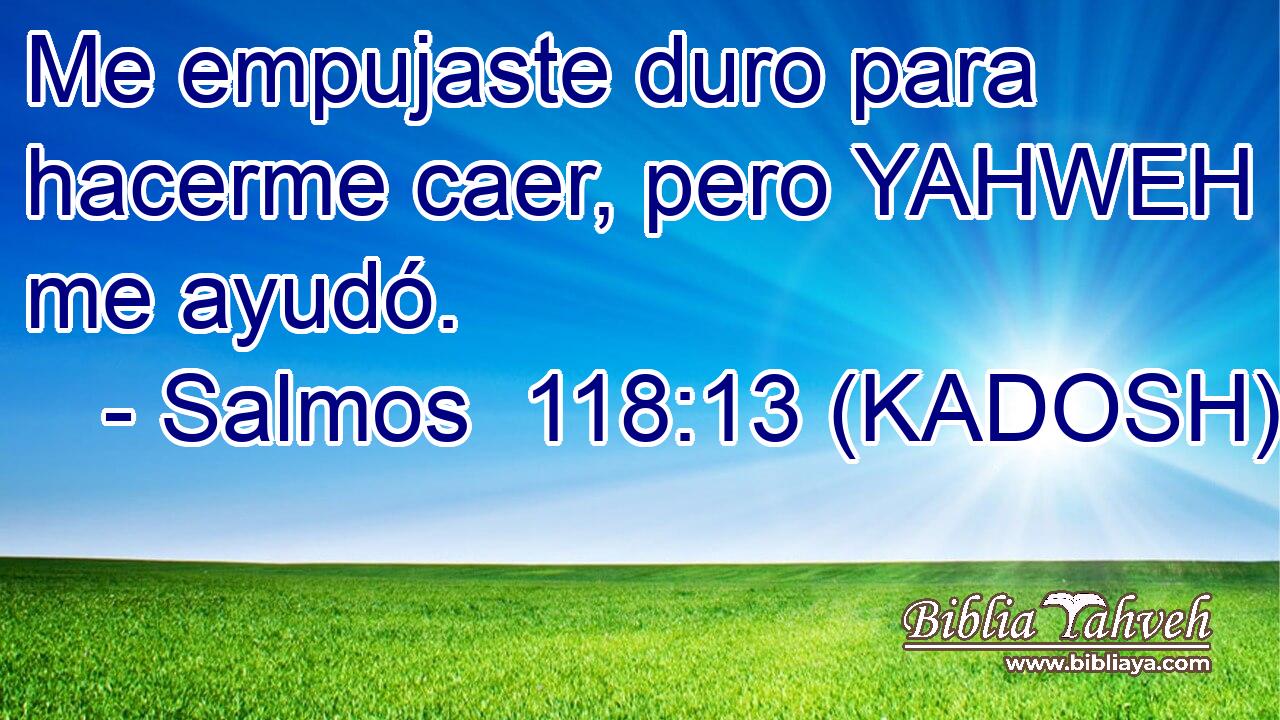  Me empujaste duro para hacerme caer, pero YAHWEH me ayudó. 
