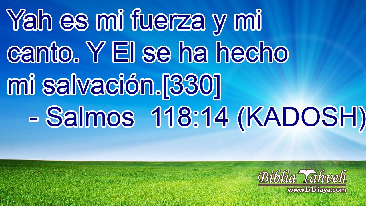  Yah es mi fuerza y mi canto. Y El se ha hecho mi salvación.[330] 