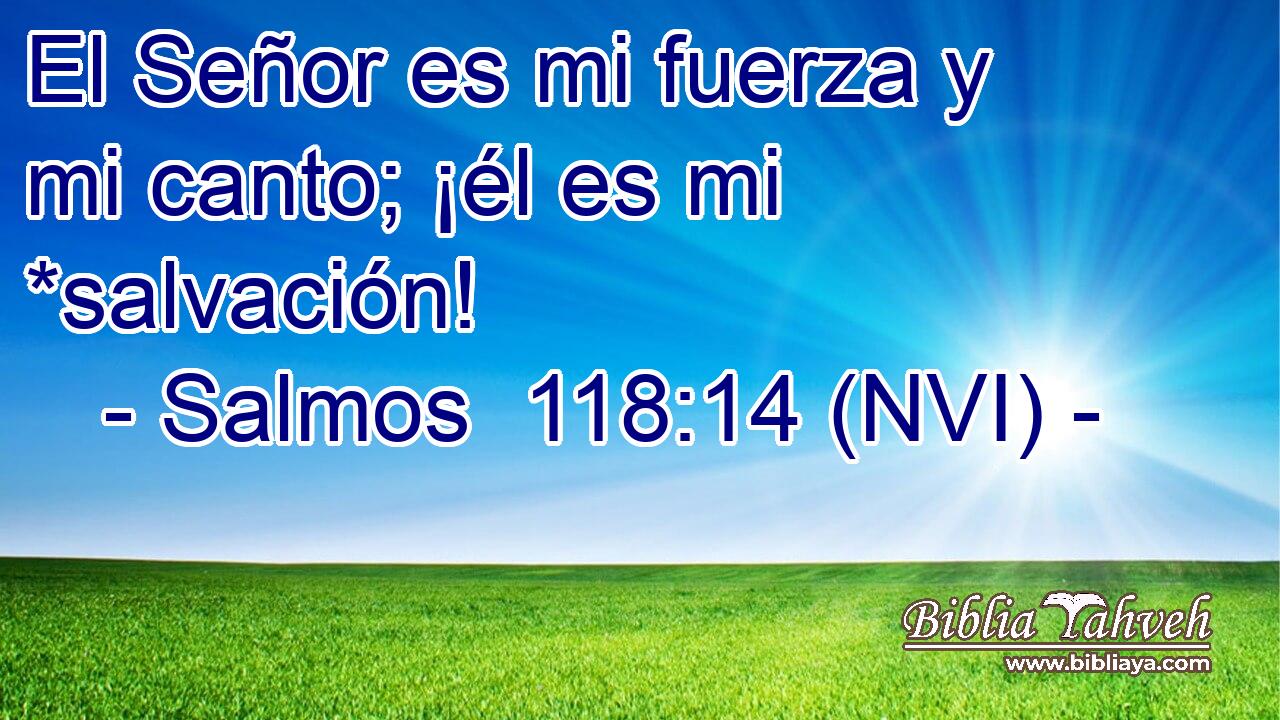  El Señor es mi fuerza y mi canto; ¡él es mi *salvación! 